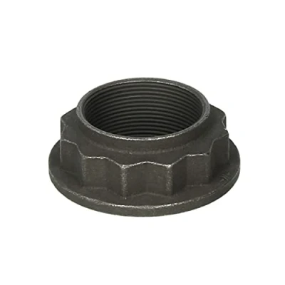 Afbeelding van Febi Bilstein moer / Twaalfkant vlakke 08536