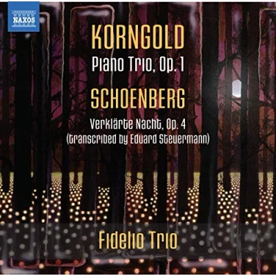 Afbeelding van Fidelio Trio Piano Trio, Op. 1 . Verklarte Nacht, 4 (Transc (CD)