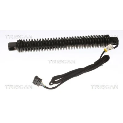 Afbeelding van Triscan Gasveer 8710 11309