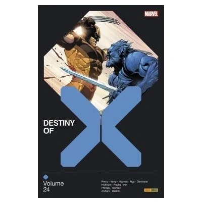 Image de Destiny of X T24