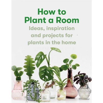 Afbeelding van How to plant a room