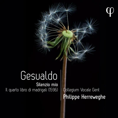 Afbeelding van Collegium Vocale Gent, Philippe Herreweghe Silenzio Mio. Il Quarto Libro Di Madrigali (CD)