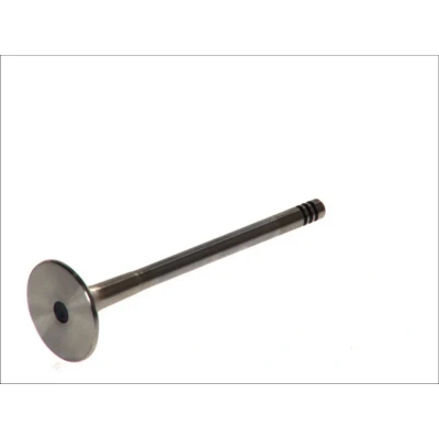 Afbeelding van FRECCIA R4650/BMCR Uitlaatklep 29 Verchroomde klepsteel OPEL: Astra G CC, Saloon, Zafira B