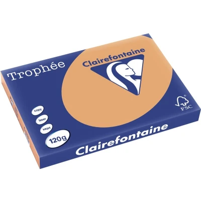 Afbeelding van Clairefontaine Trophée Pastel, gekleurd papier, A3, 120 g, 250 vel, mokkabruin