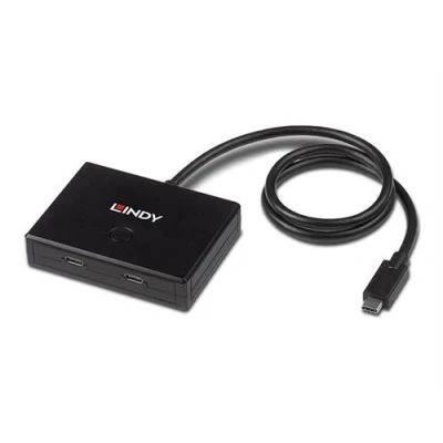 Image de Lindy Concentrateur (hub) 2 x USB 3.2 Gen 1 de bureau