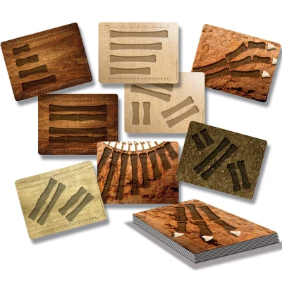 Afbeelding van Yellow door activiteitenkaarten dinosaur bones match and measure