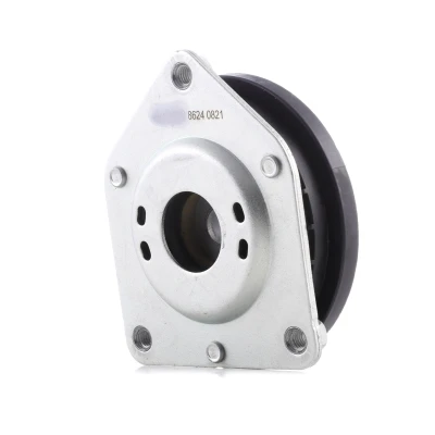 Afbeelding van Veerpoot BILSTEIN 12 255726