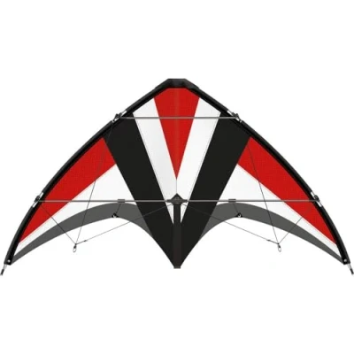 Afbeelding van Günther Flugspiele Stuntvlieger Whisper 125 GX Spanwijdte 1250 mm Geschikt voor windsterkte 4 7 bft