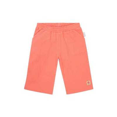 Afbeelding van Noppies Broek Merlin Baby Maat 50