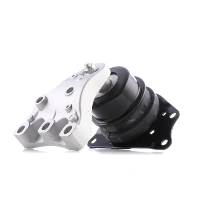 Afbeelding van REINHOCH RH11 0030 Aslichaam / motorsteunlager rechts VOLKSWAGEN: Polo IV Hatchback, SEAT: Ibiza 3, 4 Sportcoupe,