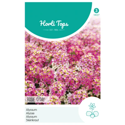 Afbeelding van Alyssum Lobularia MarProcumbens Rosie O Day Hortitops