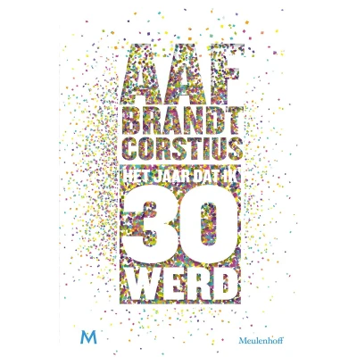 Afbeelding van Het jaar dat ik 30 werd