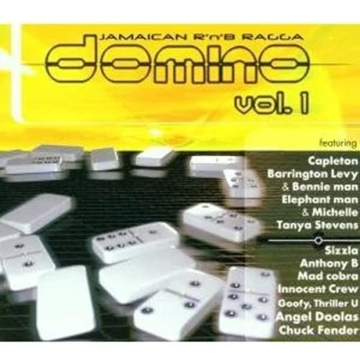 Afbeelding van Various Artists Domino, Volume 1 (CD)