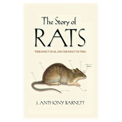 Afbeelding van The Story of Rats