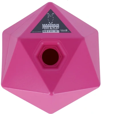 Afbeelding van Maximus Feed and Play roze