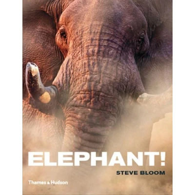 Afbeelding van Elephant!