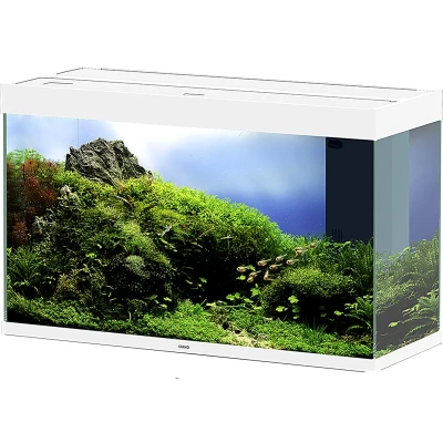 Afbeelding van Ciano Emotions Pro Aquarium Wit Aquaria 102x40x60 cm
