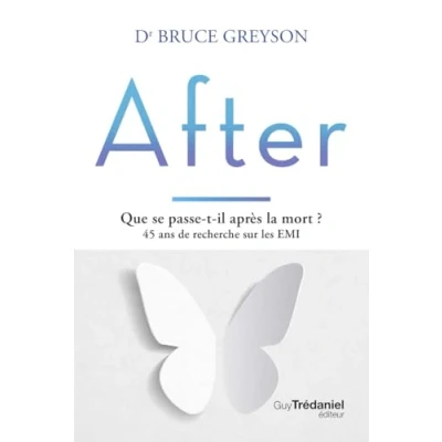 Afbeelding van AFTER QUE SE PASSE T IL APRES LA MORT