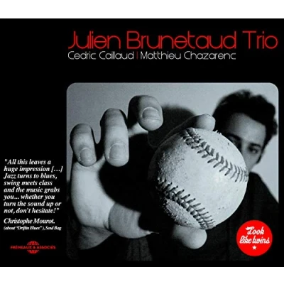 Afbeelding van Julien Brunetaud Trio Look Like Twins (CD)