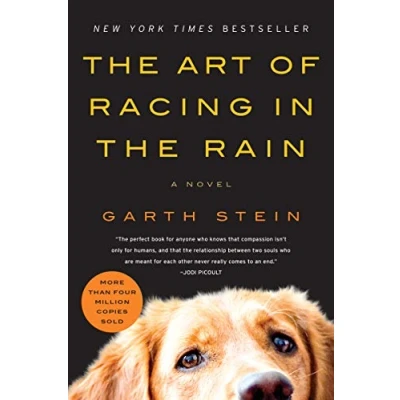 Afbeelding van the Art of Racing in Rain