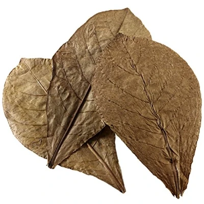 Afbeelding van Hobby Nano Catappa Leaves Normaal