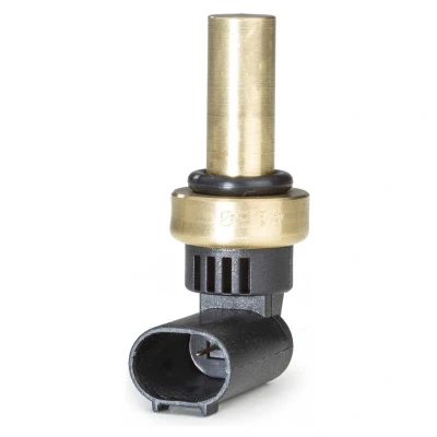 Afbeelding van Hella Temperatuursensor 6PT 358 058 221