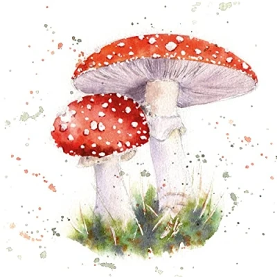Afbeelding van Painted fly agaric