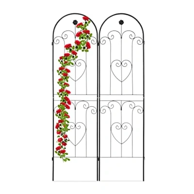 Afbeelding van Relaxdays plantensteun set van 2 klimplantenrek 180 x 50 cm metaal zwart