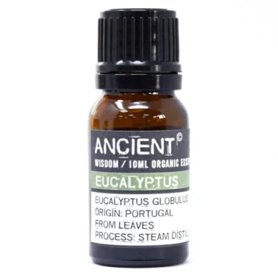 Afbeelding van Biologische Etherische Olie Eucalyptus 10ml Essentiële Oliën Aromatherapie