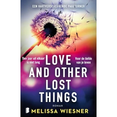 Afbeelding van Love and other lost things