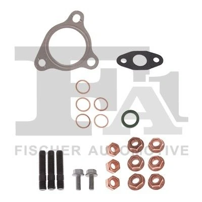 Afbeelding van Turbocharger, montageset FA1 KT540090