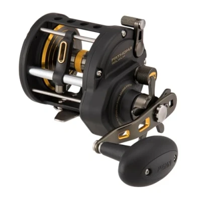 Afbeelding van Penn Fathom® II Level Wind Zeevis Reel LH 30 LW