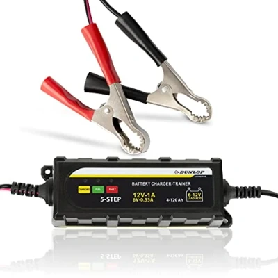 Afbeelding van Acculader Met Led Display