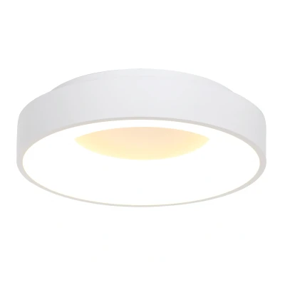 Afbeelding van Ringlede LED plafondlamp, 2.700 K, Ø 48 cm, wit, metaal