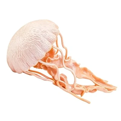 Afbeelding van Toob Jellyfish, 265529, meerkleurig