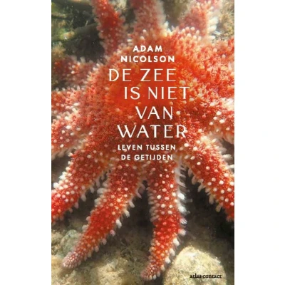 Afbeelding van De zee is niet van water