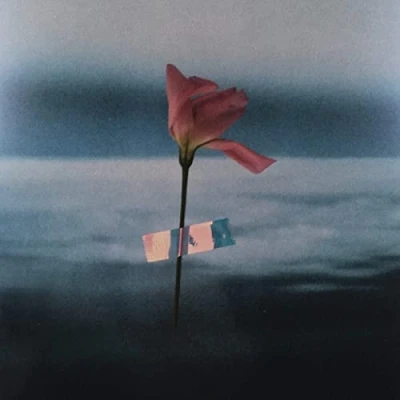 Afbeelding van Will Samson Paralanguage (LP)