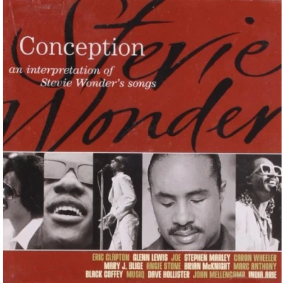 Afbeelding van Conception Stevie Wonder