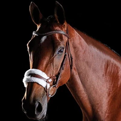 Image de Collegiate ComFiTec Sheepskin Bridle