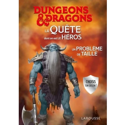 Afbeelding van DUNGEONS DRAGONS LA QUETE DONT TU ES MAGICIENNE