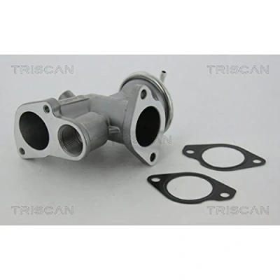Afbeelding van Triscan EGR klep 8813 24031
