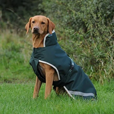 Image de Bucas Green Line Dog Rug Vert 65cm