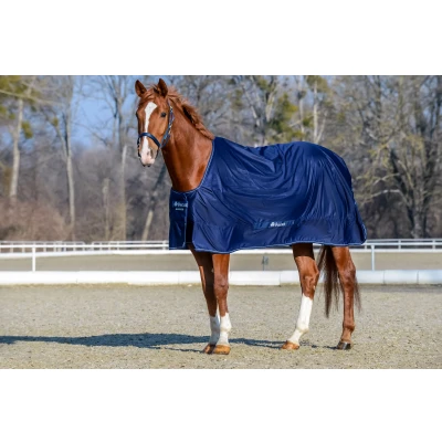 Image de Bucas Shamrock Power Pony Navy