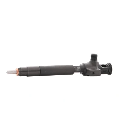 Afbeelding van Injectieklep DELPHI 28602948