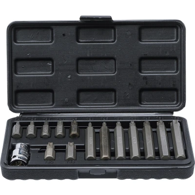 Afbeelding van BGS Bitset 10 mm (3/8&quot;) T profiel (voor Torx) 15 delig
