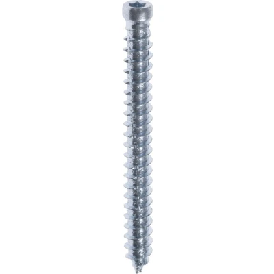 Afbeelding van FIS FIX Beton kozijnschroeven 7.5 x 152 mm cilinderkop staal verzinkt TX30 (Per 100 stuks)