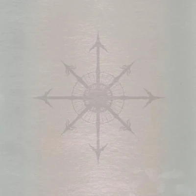 Afbeelding van John Zorn Through The Looking Glass (CD)