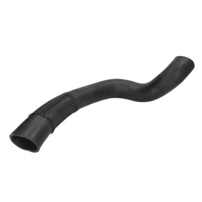 Afbeelding van THERMOTEC DCG244TT Laadluchtslang FORD: Ranger Mk3, Transit Mk6 Van