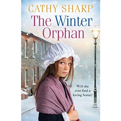 Afbeelding van the Winter Orphan Book 3 Children of Workhouse