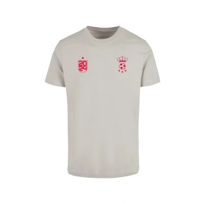 Afbeelding van Mister Tee Espana Tshirt print, Heren, Maat: Medium, Lightasphalt